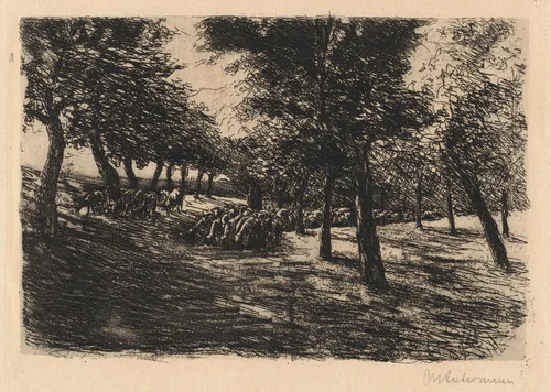 Herd of Sheep Under Trees by Max Liebermann, print, 1891