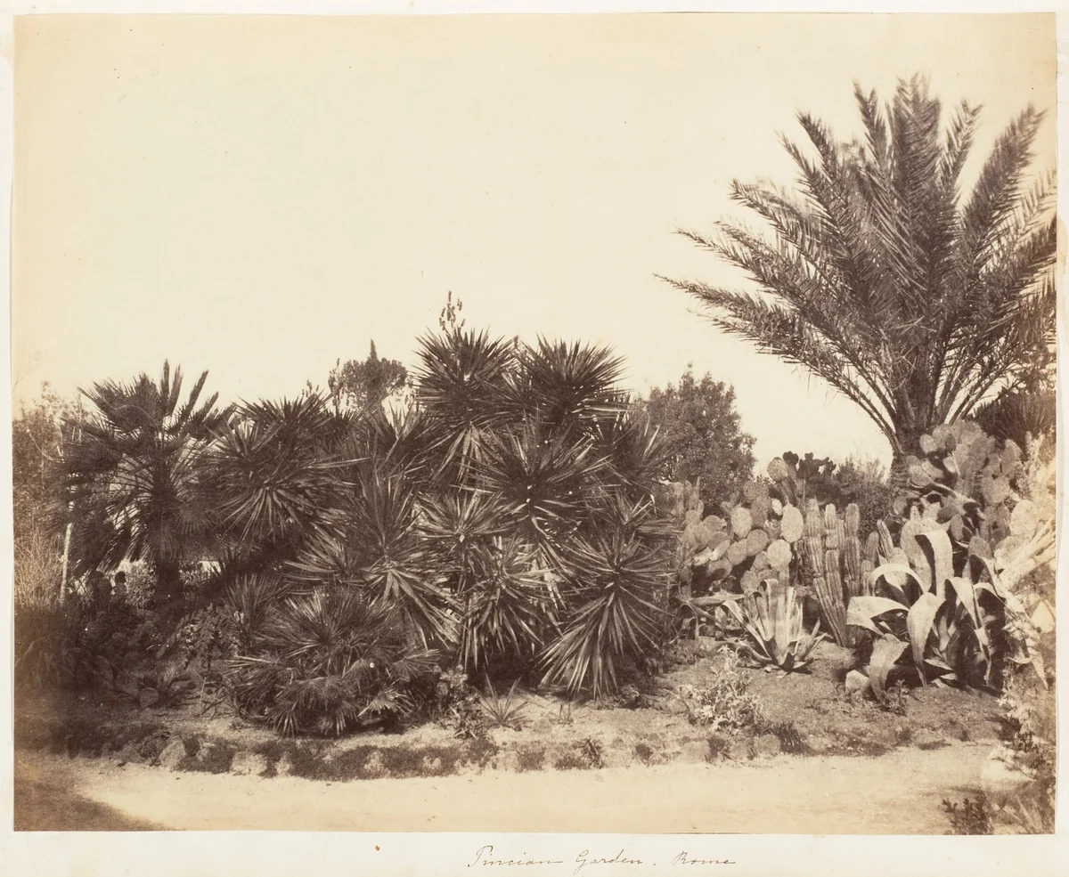 Pincian Garden, Rome by Jane Martha St. John, photograph, 1853-1856
