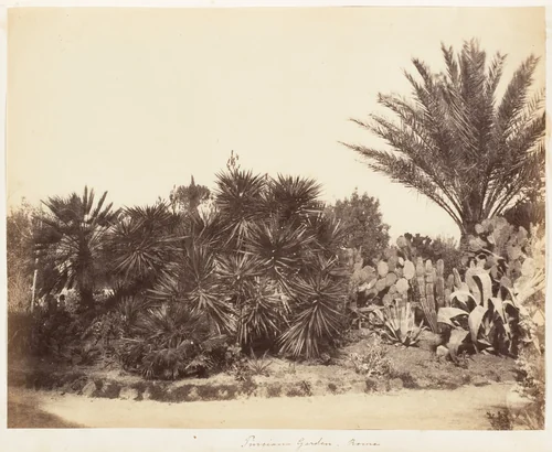 Pincian Garden, Rome by Jane Martha St. John, photograph, 1853-1856