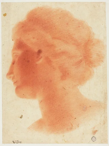 Head of Venus de Medici by Vincenzo Dandini, drawing, 1627-1675