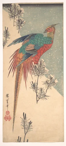 Golden Pheasant and Pine Shoots in Snow by Utagawa Hiroshige (歌川広重), print, 1825-1845