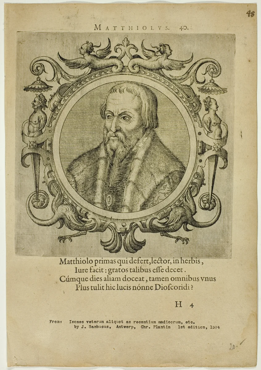 Portrait of Matthiolus by Unknown Artist, print, 1574
