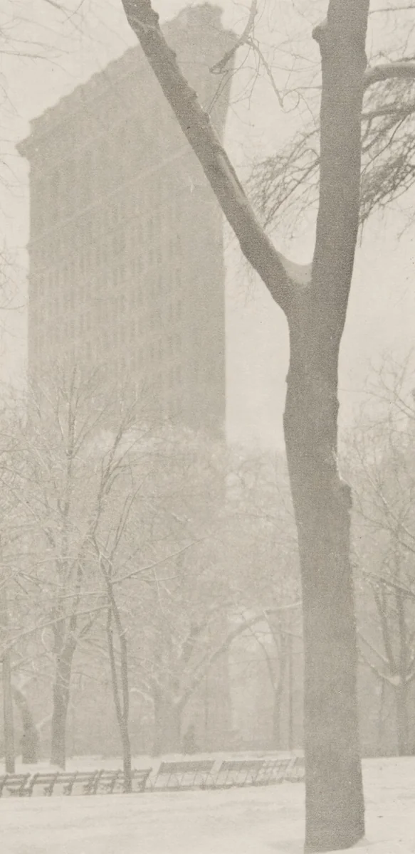 The Flatiron by Alfred Stieglitz, photograph, 1903
