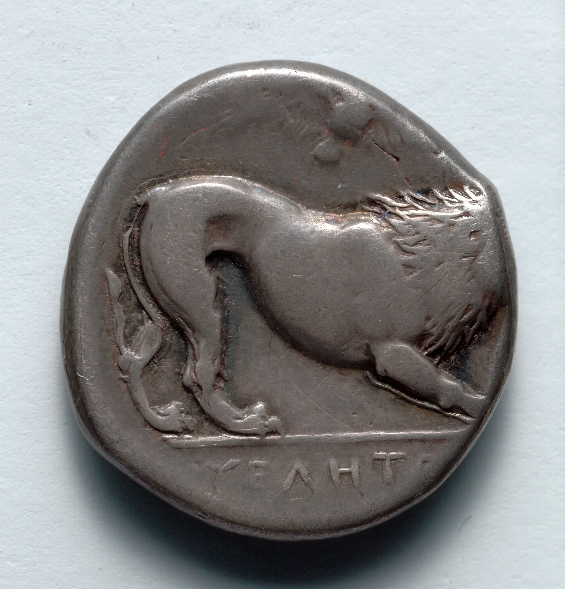 Stater: Lion, owl (reverse) by Unknown, metalwork, -345--329