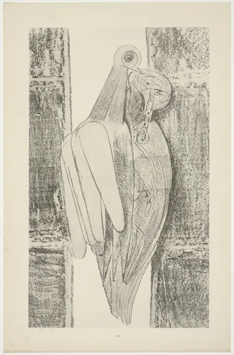 The Conjugal Diamonds (Les Diamants conjugaux) from Natural History (Histoire naturelle) by Max Ernst, print, 1925