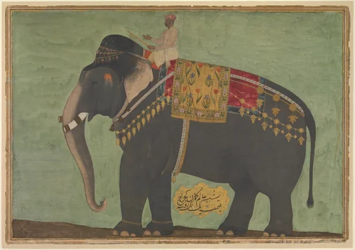 Portrait of the Elephant 'Alam Guman by Bichitr, manuscript, 1615-1665