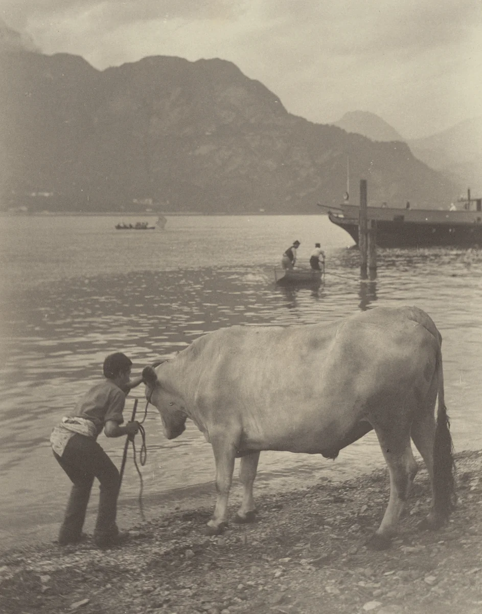 The Unwilling Bath by Alfred Stieglitz, photograph, 1887