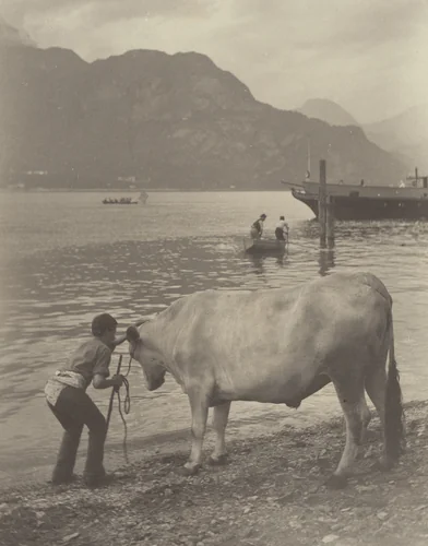 The Unwilling Bath by Alfred Stieglitz, photograph, 1887