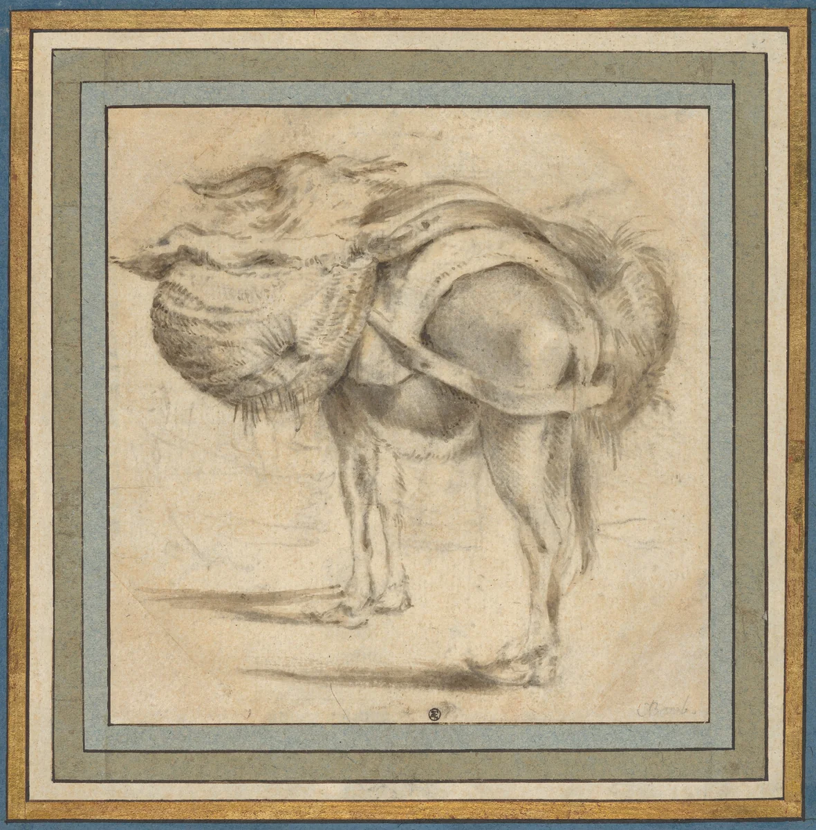 Study of a Donkey by Pieter Jacobsz van Laer, drawing, 1612-1642