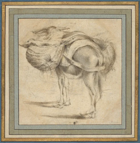 Study of a Donkey by Pieter Jacobsz van Laer, drawing, 1612-1642