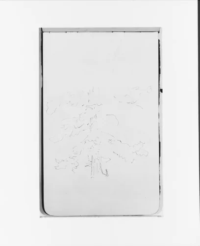Tree (from Sketchbook) by Albert Bierstadt, artwork, 1890