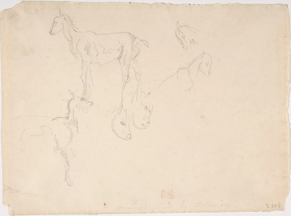 Studies of a Goat by Eugène Delacroix, drawing, 1798-1863