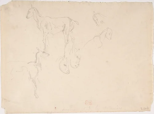 Studies of a Goat by Eugène Delacroix, drawing, 1798-1863