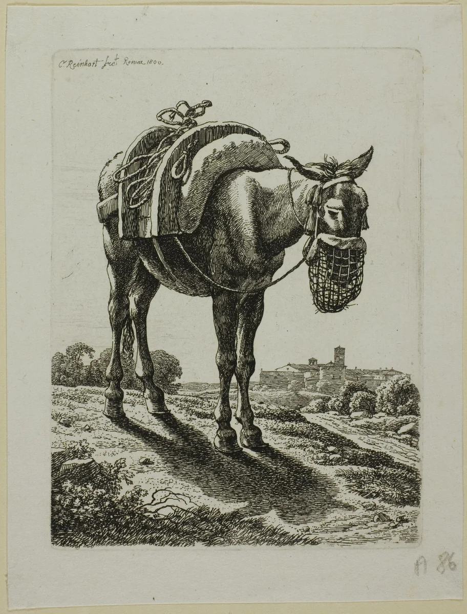 Feeding Mule - Front, from Die Zweite Thierfolge by Johann Christian Reinhart, print, 1800