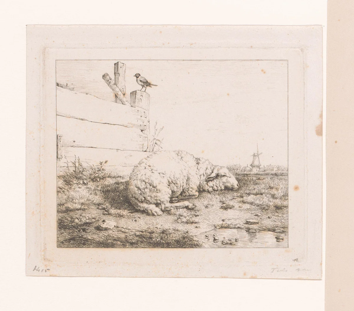 Schaap liggend bij hek by Eugène Verboeckhoven, print, 1808-1881