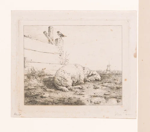 Schaap liggend bij hek by Eugène Verboeckhoven, print, 1808-1881