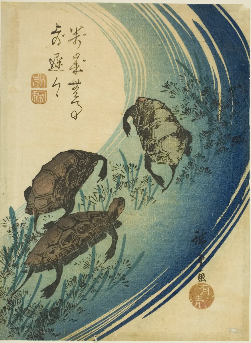 Turtles swimming in a stream by Utagawa Hiroshige (歌川広重), print, 1835-1845