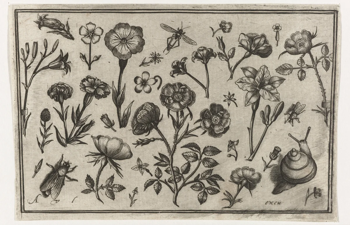 Bloemen, een vlieg en een slak by Unknown, print, 1594