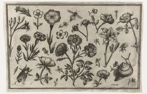 Bloemen, een vlieg en een slak by Unknown, print, 1594