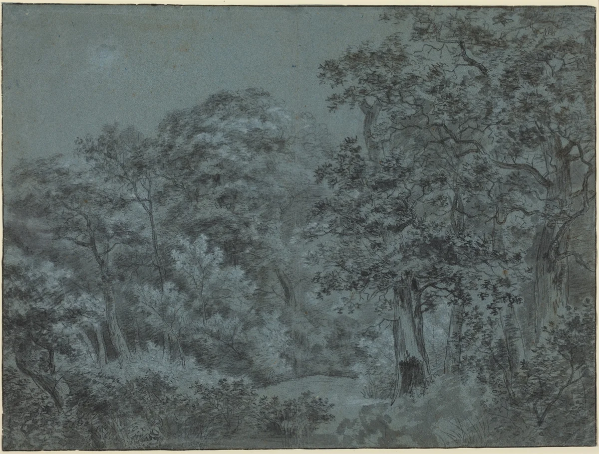 In the Hague Woods by Simon de Vlieger, drawing, 1600-1653