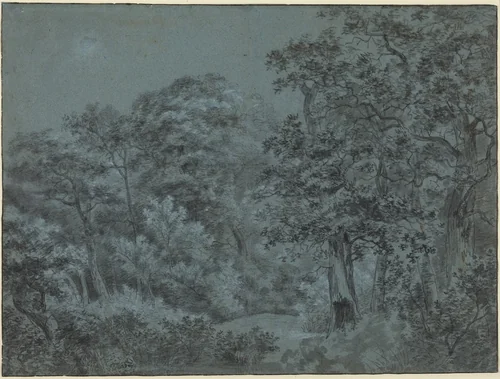 In the Hague Woods by Simon de Vlieger, drawing, 1600-1653