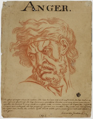 Anger by Charles Le Brun, drawing, 1698-1799