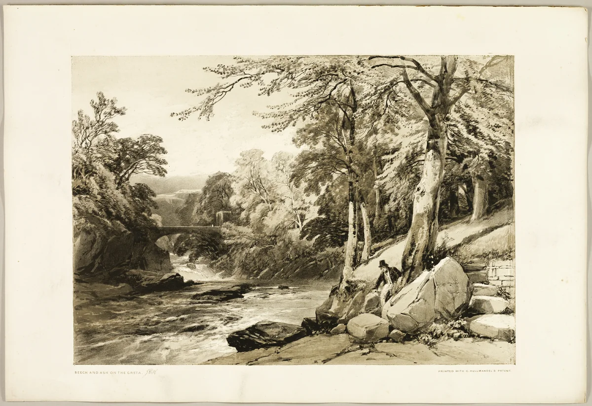 Beech and Ash on the Greta, from The Park and the Forest by James Duffield Harding, print, 1841