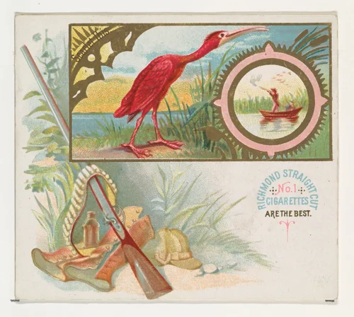 Scarlet Ibis, from the Game Birds series (N40) for Allen & Ginter Cigarettes by Allen & Ginter, print, 1888-1890