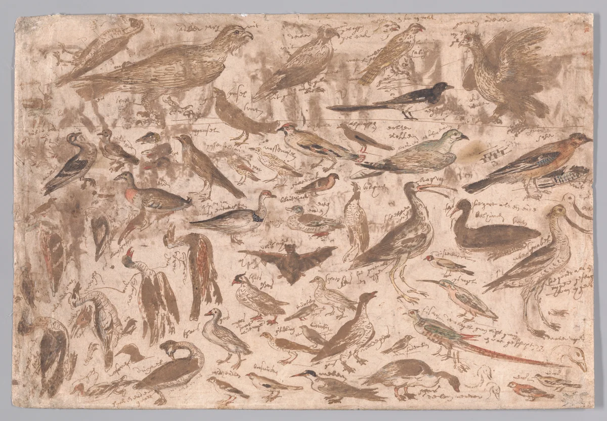 Studies of Birds (recto); Village Scene with Skaters (verso) by Albert Flamen, drawing, 1648-1692