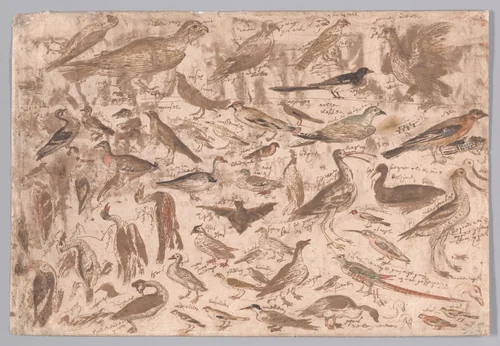 Studies of Birds (recto); Village Scene with Skaters (verso) by Albert Flamen, drawing, 1648-1692