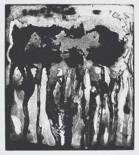 Big Drip by Pat Steir, print, 1991