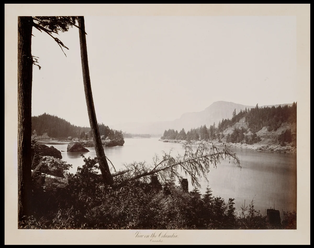 View on the Columbia, Cascades by Carleton E. Watkins, photograph, 1867