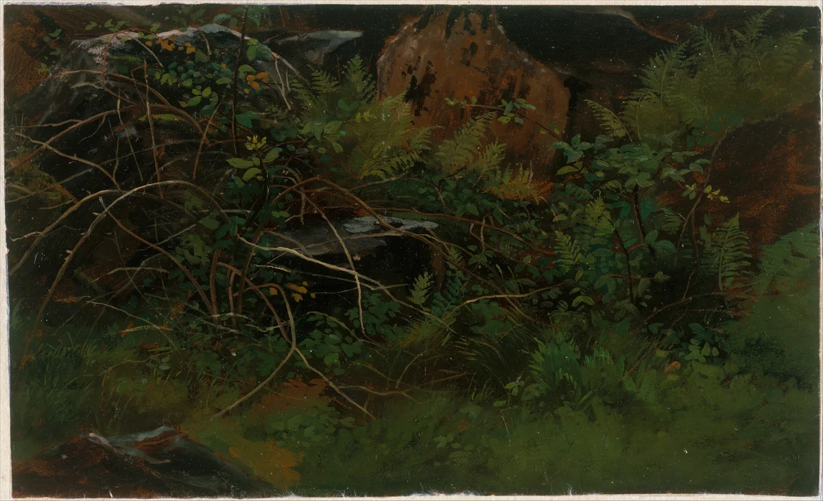 Study from Nature by William Stanley Haseltine, artwork, 1835-1900