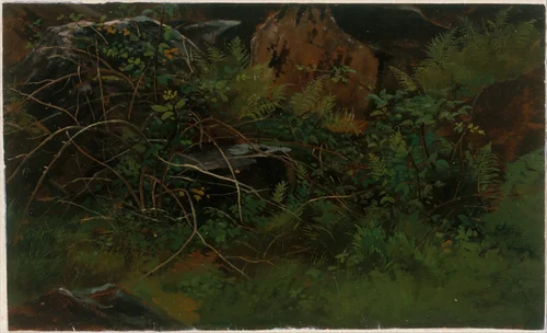 Study from Nature by William Stanley Haseltine, artwork, 1835-1900