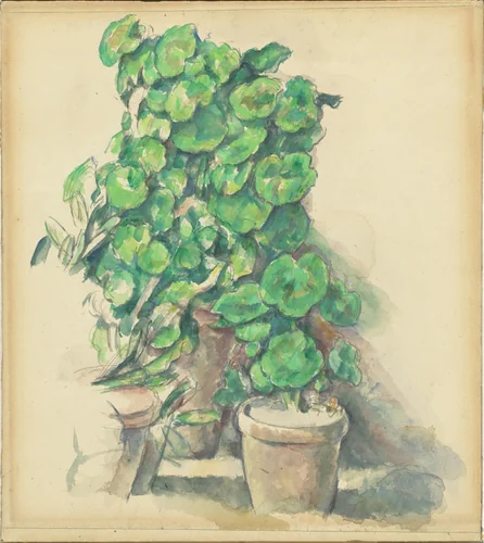 Geraniums by Paul Cezanne, drawing, 1888-1890