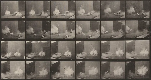 Plate Number 781. Chickens scared by a torpedo by Eadweard Muybridge, photograph, 1887