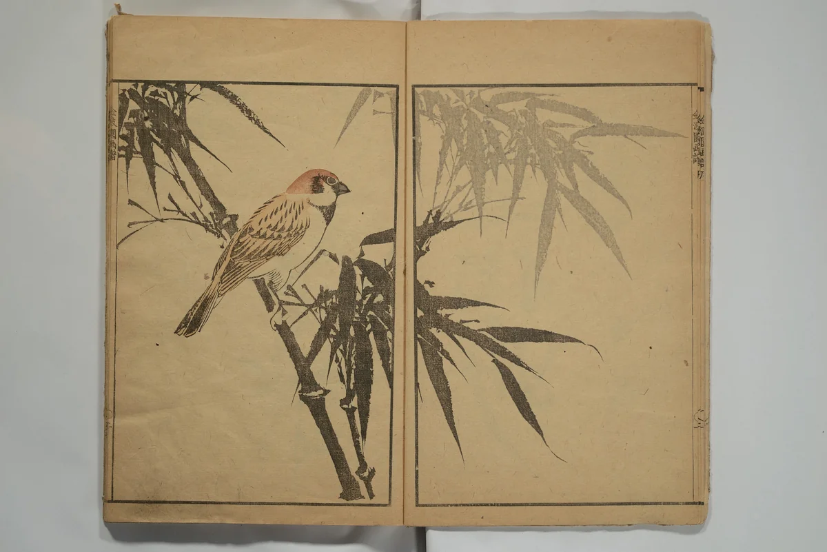 Kinpaen (Bunpō) Picture Album (Kinpaen gafu) 金波園画譜 by Kawamura Bunpō (河村文鳳), book, 1820