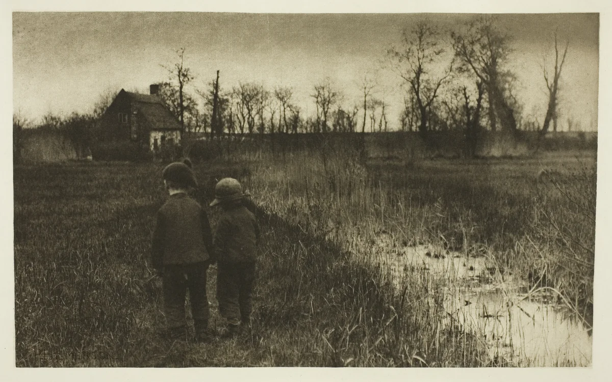 A Toad in the Path: Early Spring in Norfolk by Peter Henry Emerson, print, 1883-1887