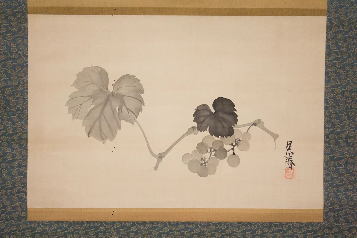 Grapevine by Matsumura Goshun, painting, 1790-1811