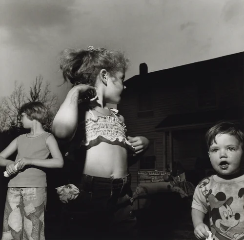 Pat Sabatine's Eighth Birthday Party, Martins Creek, Pennsylvania by Larry Fink, photograph, 1977