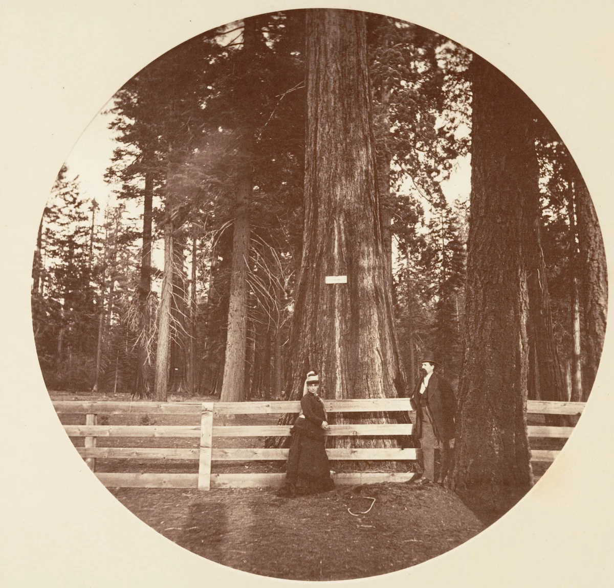 Auld Reckie. C. Grove by Carleton E. Watkins, photograph, 1876-1880