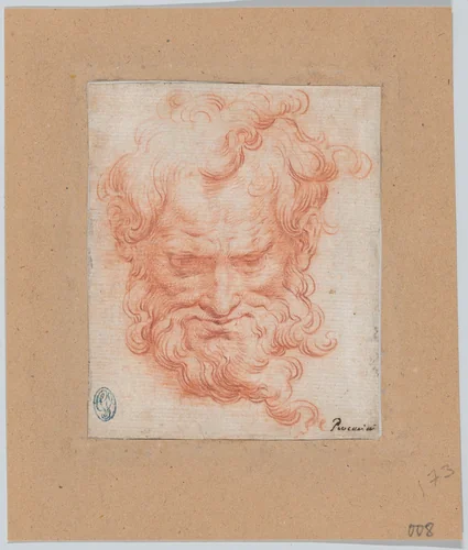 Study of Bearded Man by Camillo Procaccini, drawing, 1575-1605