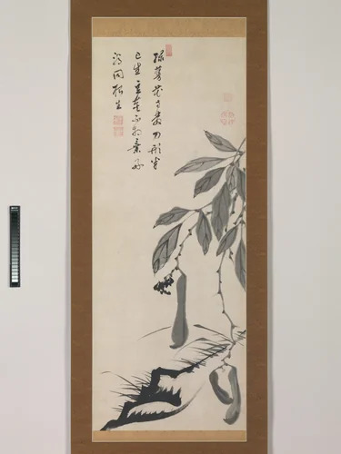 Bean Vine by Itō Jakuchū (伊藤若冲), painting, 1734-1766