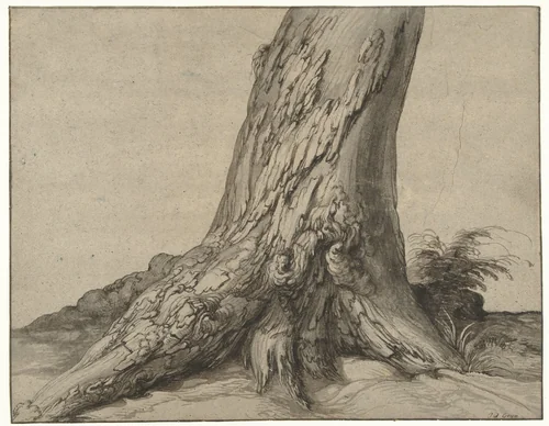 Studie van de stam van een boom met wortels by Jacques de Gheyn, drawing, 1575-1625