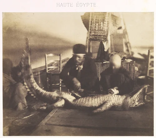 Autopsy of the First Crocodile Onboard, Upper Egypt by Ernest Benecke, photograph, 1852