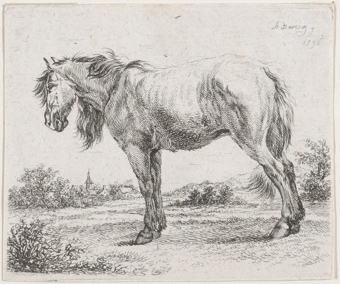 Horse standing on a meadow in profile to left by Adam von Bartsch, print, 1796