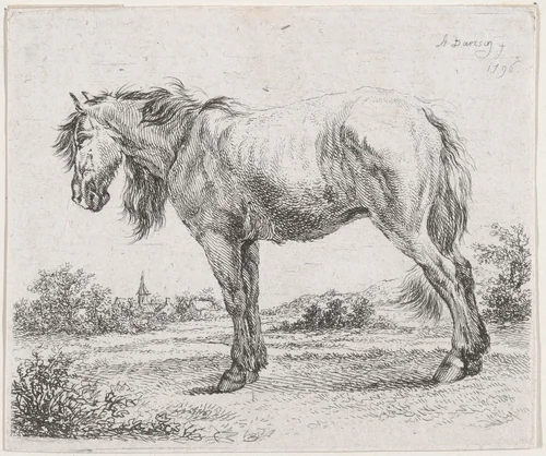 Horse standing on a meadow in profile to left by Adam von Bartsch, print, 1796