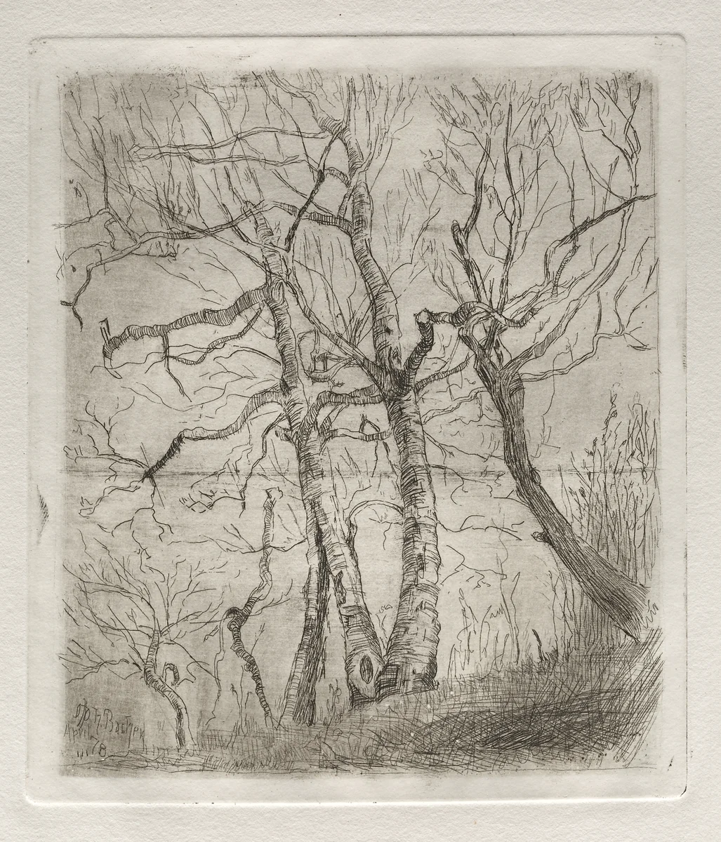 Trees by Otto H. Bacher, print, 1878