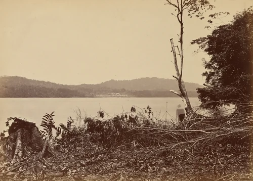 Darien Harbor, Chipigana by John Moran, photograph, 1871