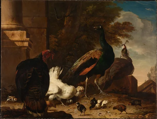 A Hen with Peacocks and a Turkey by Melchior d' Hondecoeter, painting, 1680